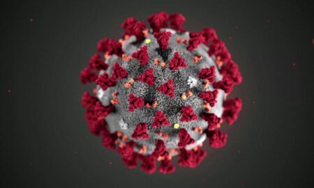 A version of this story appeared in the June 1 edition of CNN's Coronavirus: Fact vs. Fiction newsletter