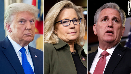Donald Trump weighs in on Liz Cheney's expected ouster by endorsing Stefanik and talking to McCarthy